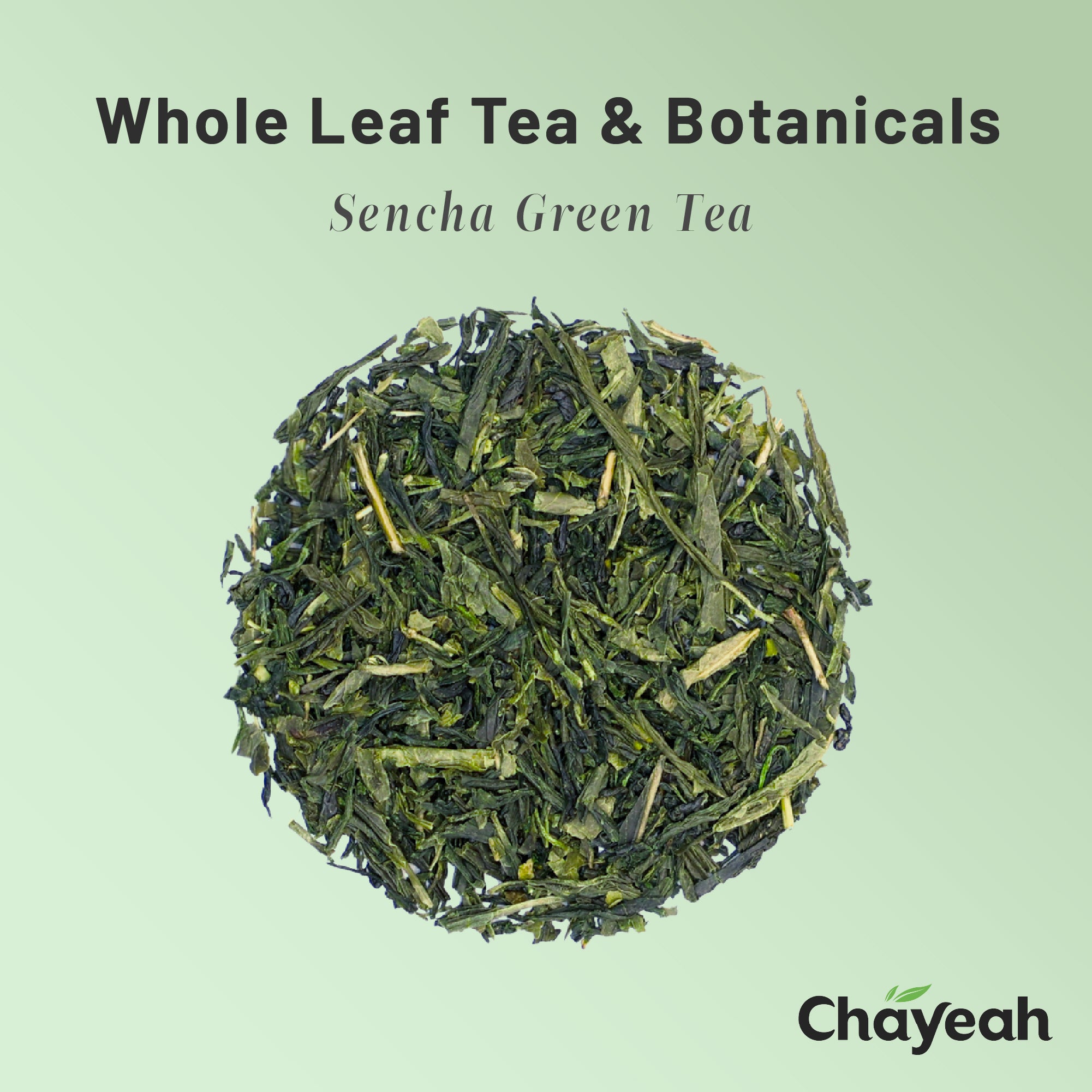 Sencha (30 Count, Tin)