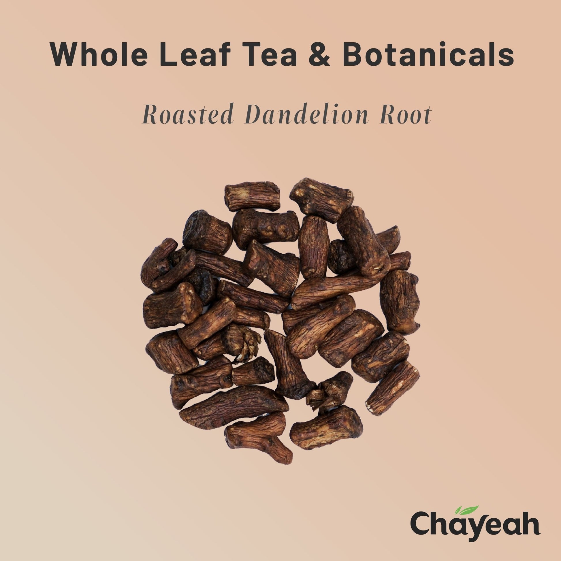 Roasted Dandelion Root (40 Count, Tin) - ChaYeah
